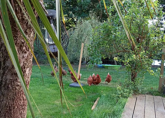 Hébergement de vacances Adventure Retreat 'the Cabanne' No Shower