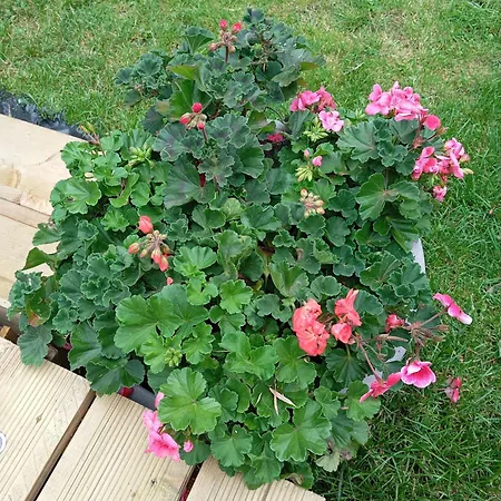 Adventure Retreat 'the Cabanne' No Shower