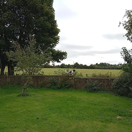 Adventure Retreat 'the Cabanne' No Shower Dublin