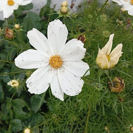 Adventure Retreat 'the Cabanne' No Shower Ferienhaus *