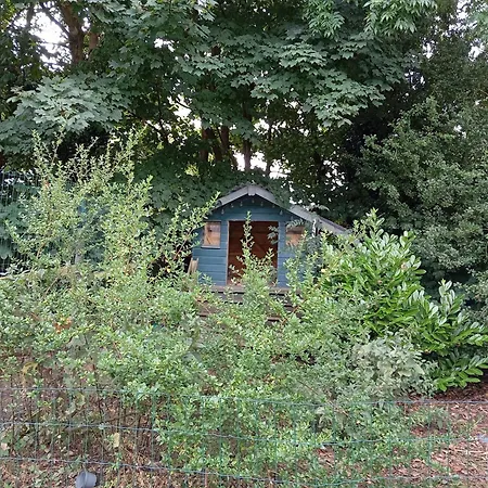 Adventure Retreat 'the Cabanne' No Shower * Dublin