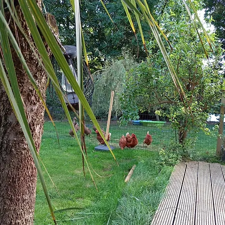 Hébergement de vacances Adventure Retreat 'the Cabanne' No Shower