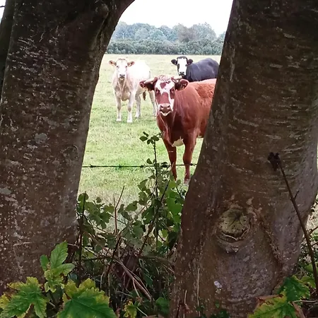 Adventure Retreat 'the Cabanne' No Shower