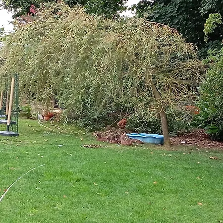 Nyaraló Adventure Retreat 'the Cabanne' No Shower Dublin