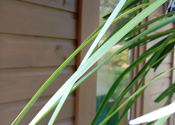 Dom wakacyjny Adventure Retreat 'the Cabanne' No Shower Dublin