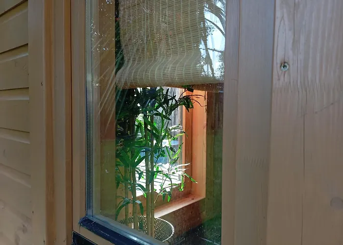 Adventure Retreat 'the Cabanne' No Shower * Dublin