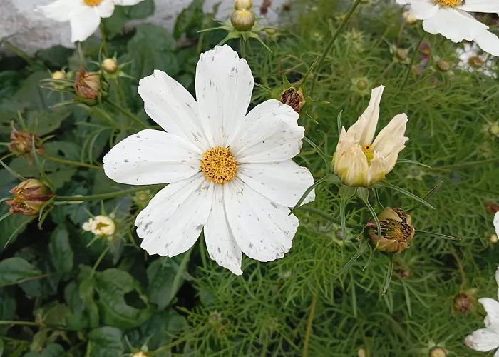 Adventure Retreat 'the Cabanne' No Shower Dom wakacyjny *