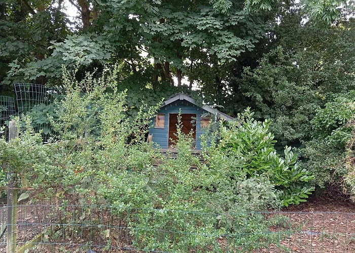 Adventure Retreat 'the Cabanne' No Shower * Dublin