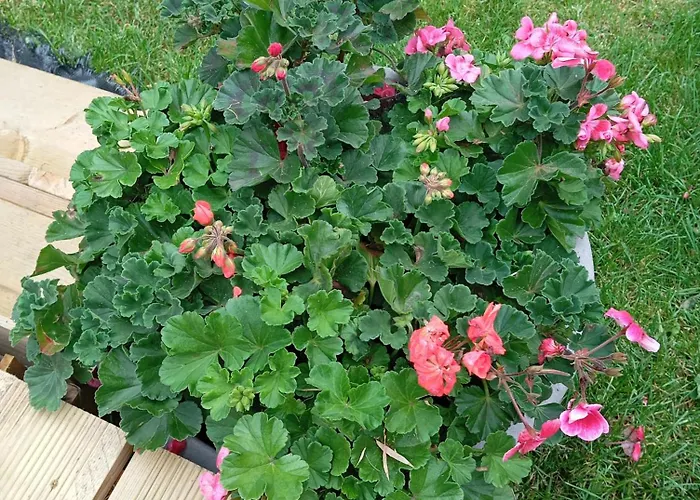 Adventure Retreat 'the Cabanne' No Shower