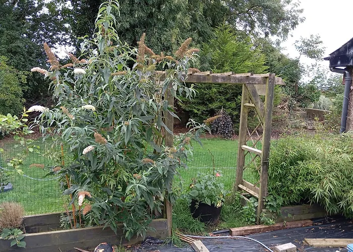 Adventure Retreat 'the Cabanne' No Shower * Dublin