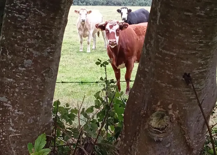 Adventure Retreat 'the Cabanne' No Shower