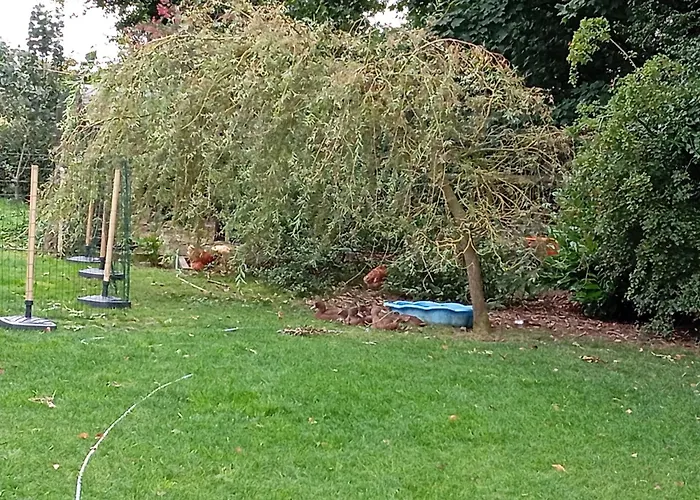 Dom wakacyjny Adventure Retreat 'the Cabanne' No Shower Dublin