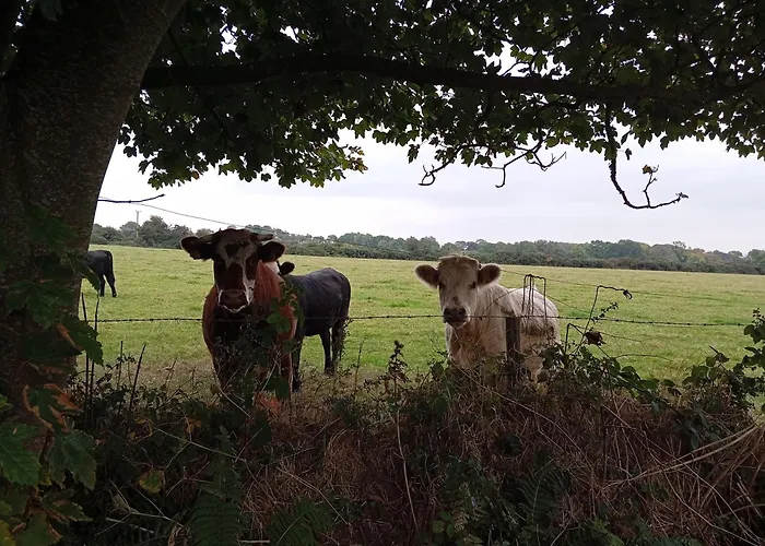 Dom wakacyjny Adventure Retreat 'the Cabanne' No Shower *