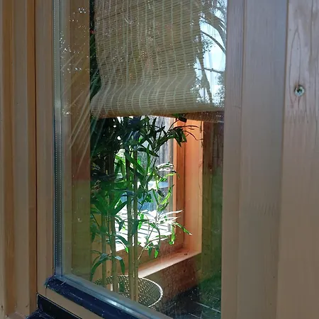 Adventure Retreat 'the Cabanne' No Shower * Dublin