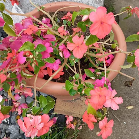 Casa de Férias Adventure Retreat 'the Cabanne' No Shower