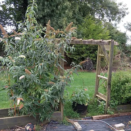 Adventure Retreat 'the Cabanne' No Shower * Dublin